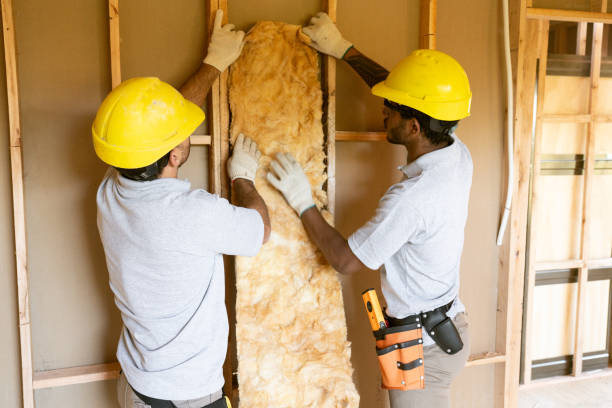 Types of Insulation We Offer in Cactus, TX